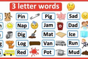 Use This 3 Letter Words finishing with i: Complete Guide Best Final Touch: Elevate Your Projects with Professional Finishing Use This 3 Letter Words finishing with i: Complete Guide | Best Final Touch: Elevate Your Projects with Professional Finishing