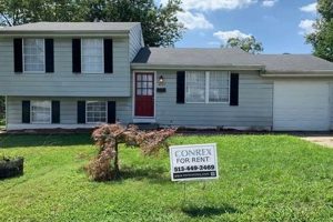 Find Your Dream 3 Bedroom House with Finished Basement for Rent Today! Best Final Touch: Elevate Your Projects with Professional Finishing Find Your Dream 3 Bedroom House with Finished Basement for Rent Today! | Best Final Touch: Elevate Your Projects with Professional Finishing