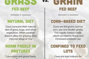 Grass Fed & Finished: What Does It *Really* Mean? Best Final Touch: Elevate Your Projects with Professional Finishing Grass Fed & Finished: What Does It *Really* Mean? | Best Final Touch: Elevate Your Projects with Professional Finishing
