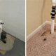 Basement Beauty: Hiding Sump Pump in Finished Basement Ideas | Best Final Touch: Elevate Your Projects with Professional Finishing