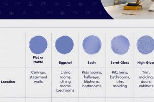 Paint Pro's Guide to Types of Paint Finish + Uses Best Final Touch: Elevate Your Projects with Professional Finishing Paint Pro's Guide to Types of Paint Finish + Uses | Best Final Touch: Elevate Your Projects with Professional Finishing