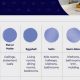 Paint Pro's Guide to Types of Paint Finish + Uses | Best Final Touch: Elevate Your Projects with Professional Finishing