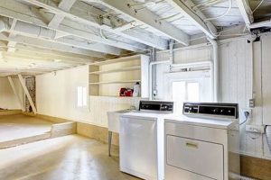 Basement: Finish 1000 sq ft with Bath - Cost Guide & Tips Best Final Touch: Elevate Your Projects with Professional Finishing Basement: Finish 1000 sq ft with Bath - Cost Guide & Tips | Best Final Touch: Elevate Your Projects with Professional Finishing
