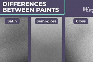 Best Satin Finish Spray Paint: DIY Perfection Best Final Touch: Elevate Your Projects with Professional Finishing Best Satin Finish Spray Paint: DIY Perfection | Best Final Touch: Elevate Your Projects with Professional Finishing