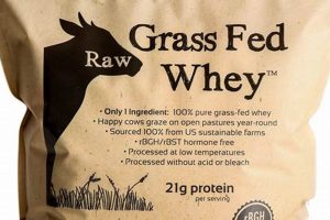 Best Grass Fed Protein Powder: Benefits & Uses Best Final Touch: Elevate Your Projects with Professional Finishing Best Grass Fed Protein Powder: Benefits & Uses | Best Final Touch: Elevate Your Projects with Professional Finishing