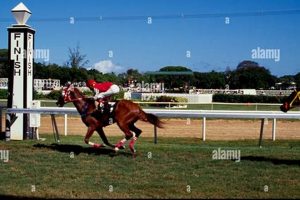 The Ultimate Finish Line Savannah: Races & Events Best Final Touch: Elevate Your Projects with Professional Finishing The Ultimate Finish Line Savannah: Races & Events | Best Final Touch: Elevate Your Projects with Professional Finishing