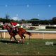 The Ultimate Finish Line Savannah: Races & Events | Best Final Touch: Elevate Your Projects with Professional Finishing
