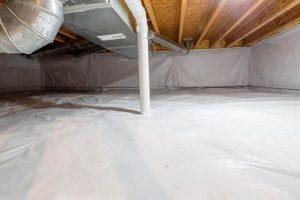 Radon Remediation: Finished Basement Safety & Solutions Best Final Touch: Elevate Your Projects with Professional Finishing Radon Remediation: Finished Basement Safety & Solutions | Best Final Touch: Elevate Your Projects with Professional Finishing