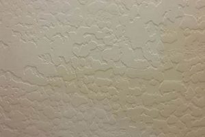 Trowel Drywall Finish Ideas: Textures & Techniques Best Final Touch: Elevate Your Projects with Professional Finishing Trowel Drywall Finish Ideas: Textures & Techniques | Best Final Touch: Elevate Your Projects with Professional Finishing