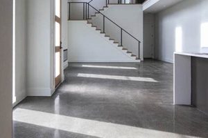 Best Finishes for Concrete Floors: Styles & Protection Best Final Touch: Elevate Your Projects with Professional Finishing Best Finishes for Concrete Floors: Styles & Protection | Best Final Touch: Elevate Your Projects with Professional Finishing