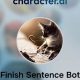 Best Finish the Sentence AI: Auto-Complete Now! | Best Final Touch: Elevate Your Projects with Professional Finishing