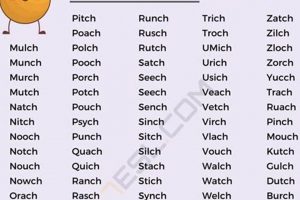 Mastering Words Finishing with X: Tips & Tricks Best Final Touch: Elevate Your Projects with Professional Finishing Mastering Words Finishing with X: Tips & Tricks | Best Final Touch: Elevate Your Projects with Professional Finishing