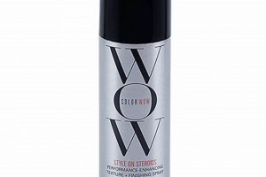 Achieve Wow Finish: The Best Setting Sprays Best Final Touch: Elevate Your Projects with Professional Finishing Achieve Wow Finish: The Best Setting Sprays | Best Final Touch: Elevate Your Projects with Professional Finishing