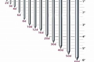 Guide to Finishing Nail Sizes: Length, Gauge & More Best Final Touch: Elevate Your Projects with Professional Finishing Guide to Finishing Nail Sizes: Length, Gauge & More | Best Final Touch: Elevate Your Projects with Professional Finishing