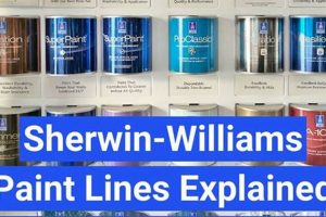 Best SW Paint Finishes: Guide & Top Picks Best Final Touch: Elevate Your Projects with Professional Finishing Best SW Paint Finishes: Guide & Top Picks | Best Final Touch: Elevate Your Projects with Professional Finishing