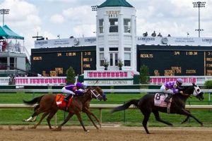 Kentucky Derby Finish Order: How Did All Horses Finish? Best Final Touch: Elevate Your Projects with Professional Finishing Kentucky Derby Finish Order: How Did All Horses Finish? | Best Final Touch: Elevate Your Projects with Professional Finishing
