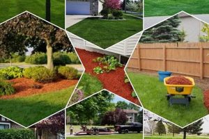 Your Finish Line Midland MI: Shoes & More! Best Final Touch: Elevate Your Projects with Professional Finishing Your Finish Line Midland MI: Shoes & More! | Best Final Touch: Elevate Your Projects with Professional Finishing