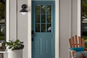 Best Paint Finish for Front Door? [Buyers Guide] | Best Final Touch: Elevate Your Projects with Professional Finishing
