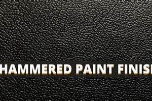 Best Hammer Paint Finish: Tips & Techniques Best Final Touch: Elevate Your Projects with Professional Finishing Best Hammer Paint Finish: Tips & Techniques | Best Final Touch: Elevate Your Projects with Professional Finishing