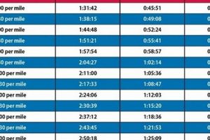 Finishing Strong: Average Half Marathon Time [Explained] | Best Final Touch: Elevate Your Projects with Professional Finishing
