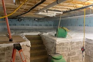 Basement Bliss: Finishing Your Crawl Space Basement Done Right | Best Final Touch: Elevate Your Projects with Professional Finishing