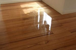 Achieve Shine: Best Gloss Floor Finish Tips & Tricks Best Final Touch: Elevate Your Projects with Professional Finishing Achieve Shine: Best Gloss Floor Finish Tips & Tricks | Best Final Touch: Elevate Your Projects with Professional Finishing