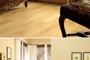 Top Coat: Best Finish for Hardwood Floors with Dogs - Guide | Best Final Touch: Elevate Your Projects with Professional Finishing