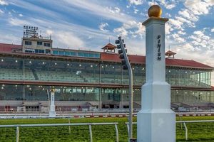 New Orleans Finish Line: Your Race Day Guide & More Best Final Touch: Elevate Your Projects with Professional Finishing New Orleans Finish Line: Your Race Day Guide & More | Best Final Touch: Elevate Your Projects with Professional Finishing