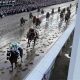 Understanding the Derby Finish Line: Winning Strategies & Tech | Best Final Touch: Elevate Your Projects with Professional Finishing