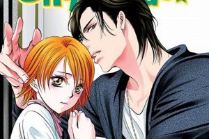 Skip Beat! Manga: Is it Finished? [Status Update] | Best Final Touch: Elevate Your Projects with Professional Finishing
