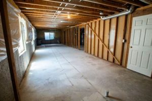 Basement Renovation: How Much Will it Cost to Finish a Basement? Best Final Touch: Elevate Your Projects with Professional Finishing Basement Renovation: How Much Will it Cost to Finish a Basement? | Best Final Touch: Elevate Your Projects with Professional Finishing