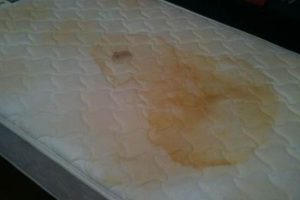 Remove Urine Stain on Mahogany Bureau: Easy Fixes | Best Final Touch: Elevate Your Projects with Professional Finishing