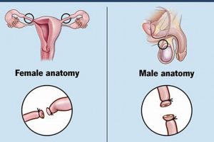 Best Birth Control for "Finish Inside" &amp; Peace of Mind | Best Final Touch: Elevate Your Projects with Professional Finishing