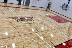 Best Gymnasium Floor Finish Guide: Protect Your Floor! | Best Final Touch: Elevate Your Projects with Professional Finishing