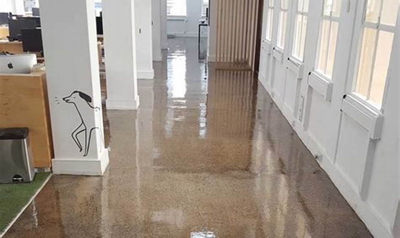 Best Epoxy Floor Finish on Concrete: Durable Floors! | Best Final Touch: Elevate Your Projects with Professional Finishing