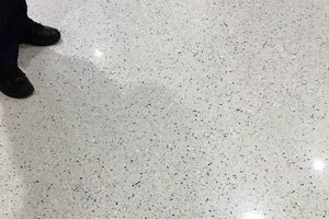 Durable Terrazzo Floor Finish: Styles & Benefits For Your Floor Best Final Touch: Elevate Your Projects with Professional Finishing Durable Terrazzo Floor Finish: Styles & Benefits For Your Floor | Best Final Touch: Elevate Your Projects with Professional Finishing