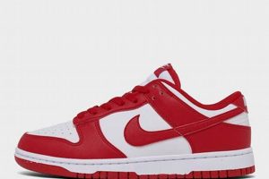 Mastering the Finish Line Dunk: Skills & Style Best Final Touch: Elevate Your Projects with Professional Finishing Mastering the Finish Line Dunk: Skills & Style | Best Final Touch: Elevate Your Projects with Professional Finishing