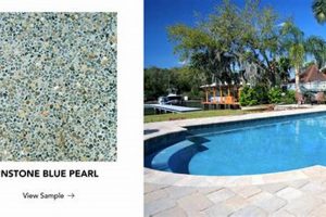 Best Pool Finish Options: Your Complete Guide + Costs Best Final Touch: Elevate Your Projects with Professional Finishing Best Pool Finish Options: Your Complete Guide + Costs | Best Final Touch: Elevate Your Projects with Professional Finishing