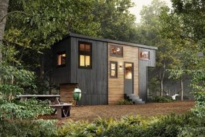 Find Finished Tiny Homes Rent to Own Near You: Guide | Best Final Touch: Elevate Your Projects with Professional Finishing