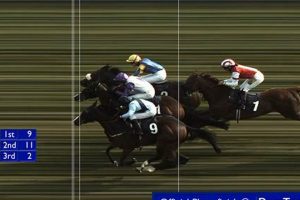 Photo Finish Horse Racing: Nail-Biting Race Finishes! | Best Final Touch: Elevate Your Projects with Professional Finishing