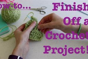 Crochet Project Finishing: Easy Endings & Tips! | Best Final Touch: Elevate Your Projects with Professional Finishing