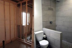 Basement Bliss: Finishing a Basement Bathroom Done Right! Best Final Touch: Elevate Your Projects with Professional Finishing Basement Bliss: Finishing a Basement Bathroom Done Right! | Best Final Touch: Elevate Your Projects with Professional Finishing