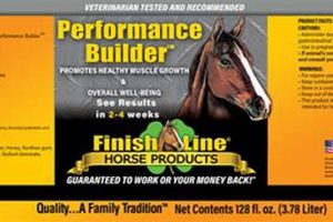 Boost Your Line: Finish Line Performance Builder Guide | Best Final Touch: Elevate Your Projects with Professional Finishing