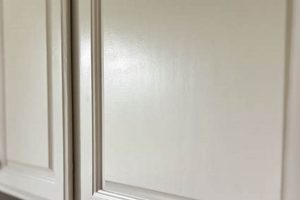 Top Paint: Best Paint Finish for Kitchen Cabinets Guide Best Final Touch: Elevate Your Projects with Professional Finishing Top Paint: Best Paint Finish for Kitchen Cabinets Guide | Best Final Touch: Elevate Your Projects with Professional Finishing