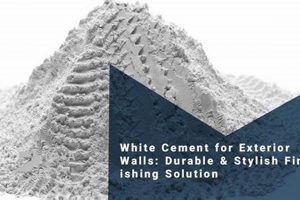 Top Exterior Finishing Solution Ideas & More! Best Final Touch: Elevate Your Projects with Professional Finishing Top Exterior Finishing Solution Ideas & More! | Best Final Touch: Elevate Your Projects with Professional Finishing