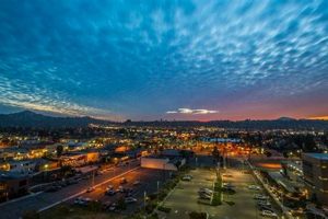 Finish Line El Cajon: Your Local Athletic Gear Source! Best Final Touch: Elevate Your Projects with Professional Finishing Finish Line El Cajon: Your Local Athletic Gear Source! | Best Final Touch: Elevate Your Projects with Professional Finishing