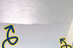 Eggshell Finish vs Flat: Which Paint is Best for You? | Best Final Touch: Elevate Your Projects with Professional Finishing