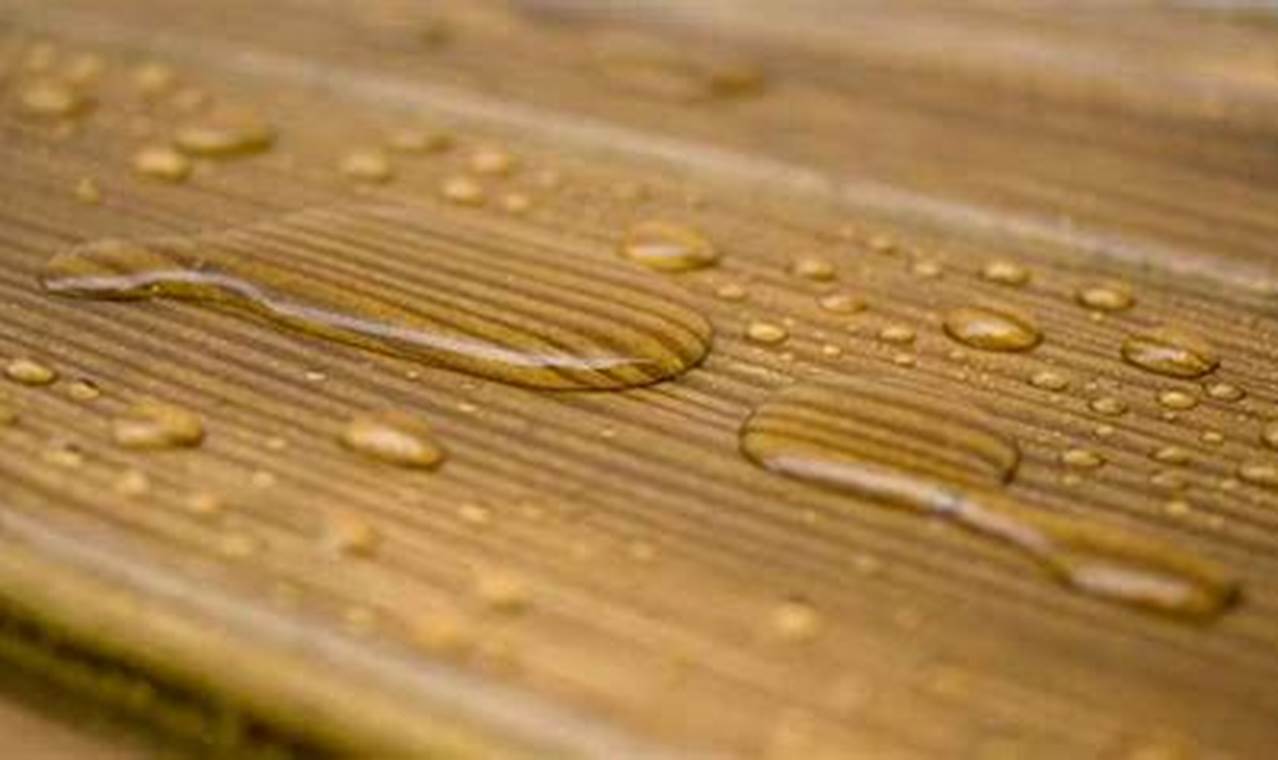 Best Wood Water Resistant Finish for Lasting Protection! Best Final Touch: Elevate Your Projects with Professional Finishing Best Wood Water Resistant Finish for Lasting Protection! | Best Final Touch: Elevate Your Projects with Professional Finishing