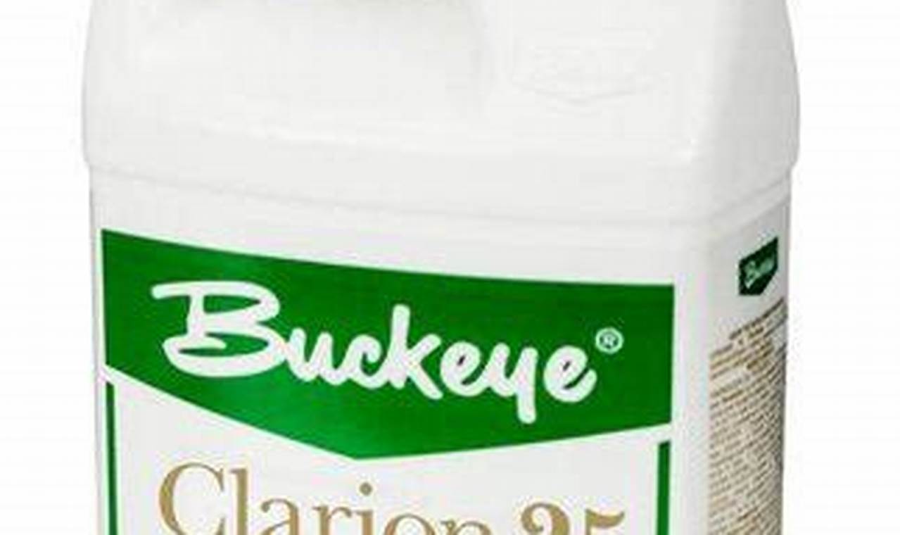 Buy Clarion 25 Floor Finish - Best Protection! Best Final Touch: Elevate Your Projects with Professional Finishing Buy Clarion 25 Floor Finish - Best Protection! | Best Final Touch: Elevate Your Projects with Professional Finishing