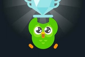 Latin Project Finished: The Art of Neo-Latin Completion | Best Final Touch: Elevate Your Projects with Professional Finishing